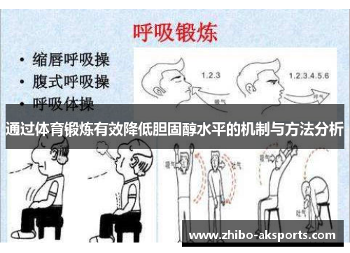 通过体育锻炼有效降低胆固醇水平的机制与方法分析